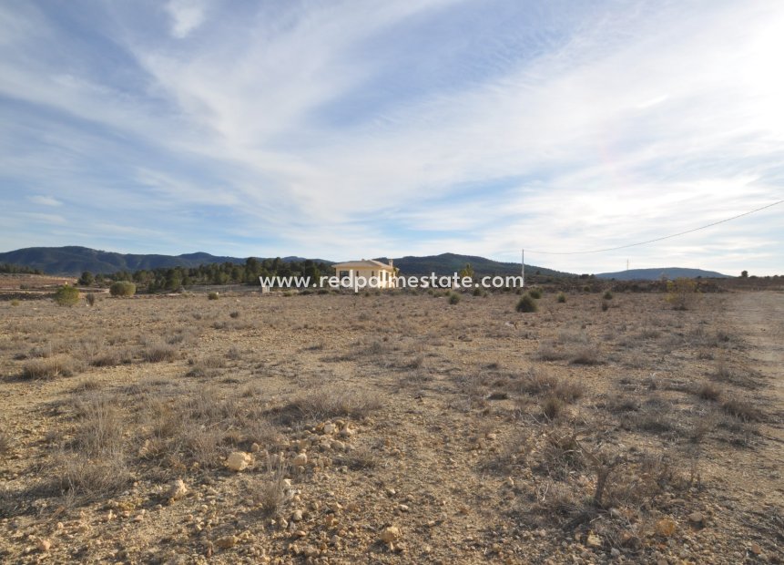 Resale - Plot -
Pinoso - Inland