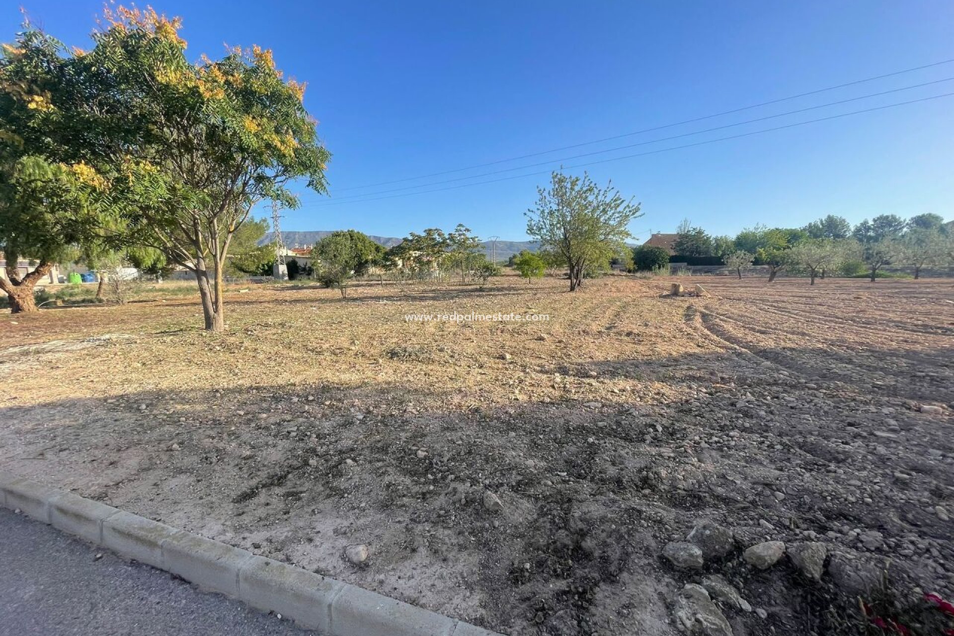 Resale - Plot -
Pinoso - Inland