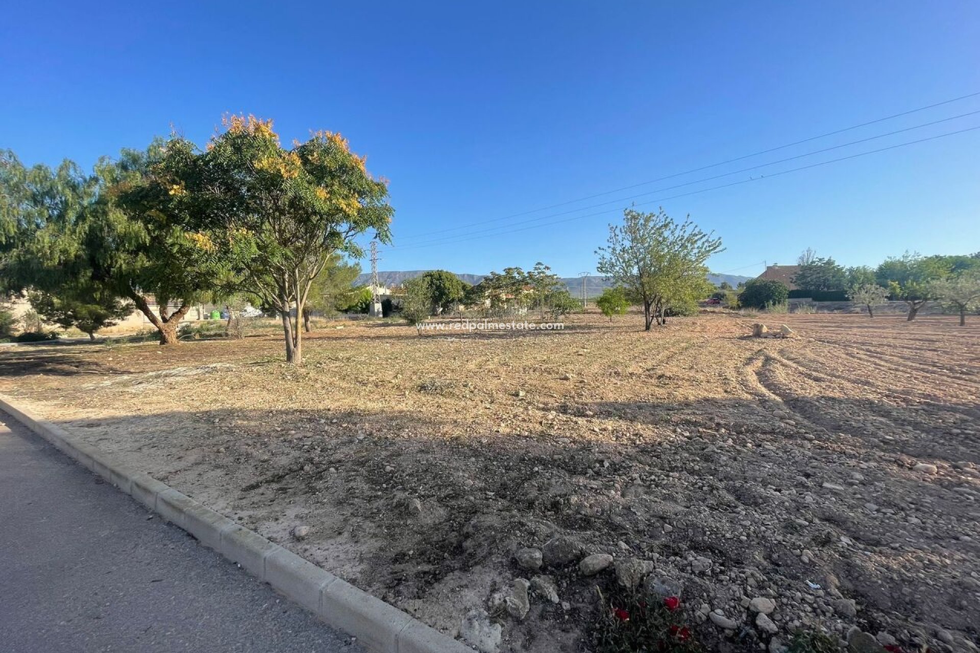 Resale - Plot -
Pinoso - Inland