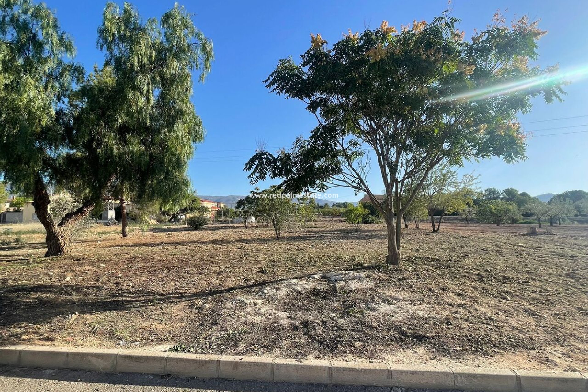 Resale - Plot -
Pinoso - Inland