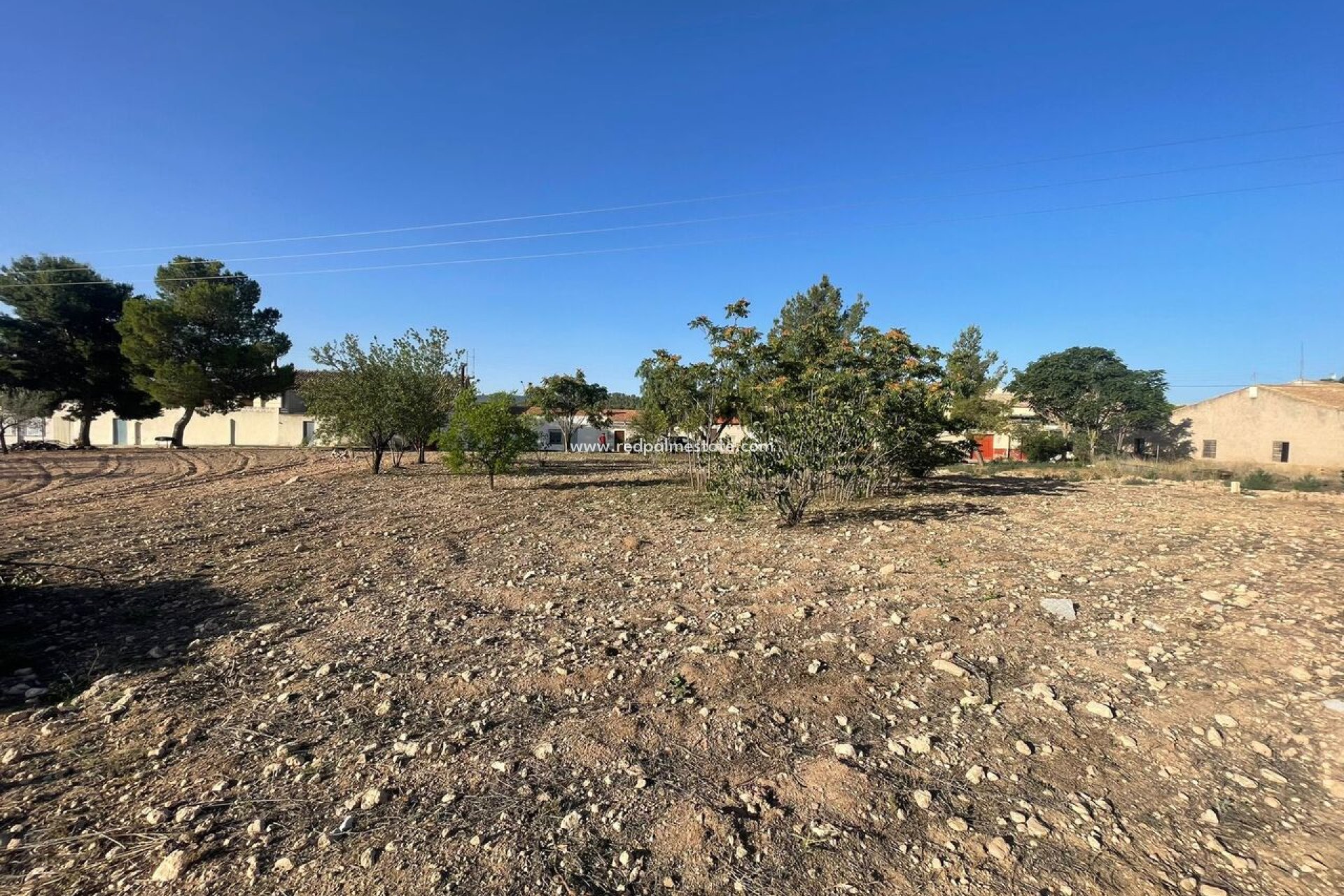 Resale - Plot -
Pinoso - Inland