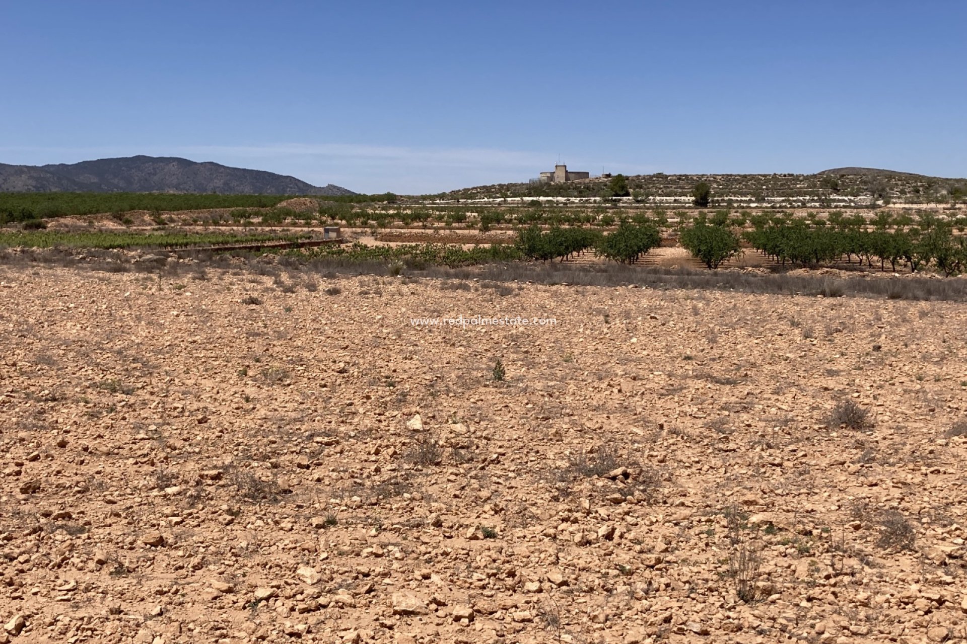 Resale - Plot -
Pinoso - Inland