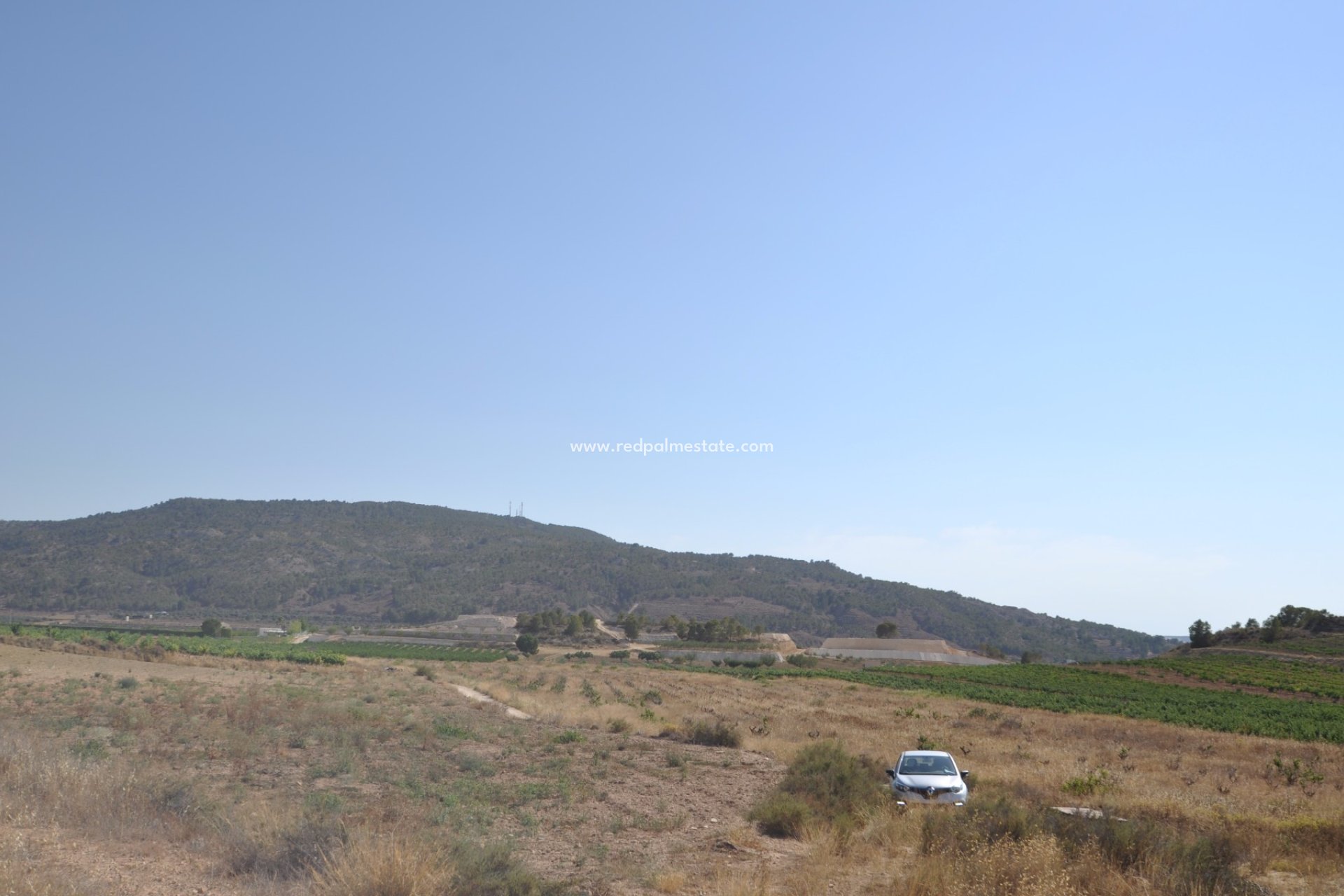 Resale - Plot -
Pinoso - Inland