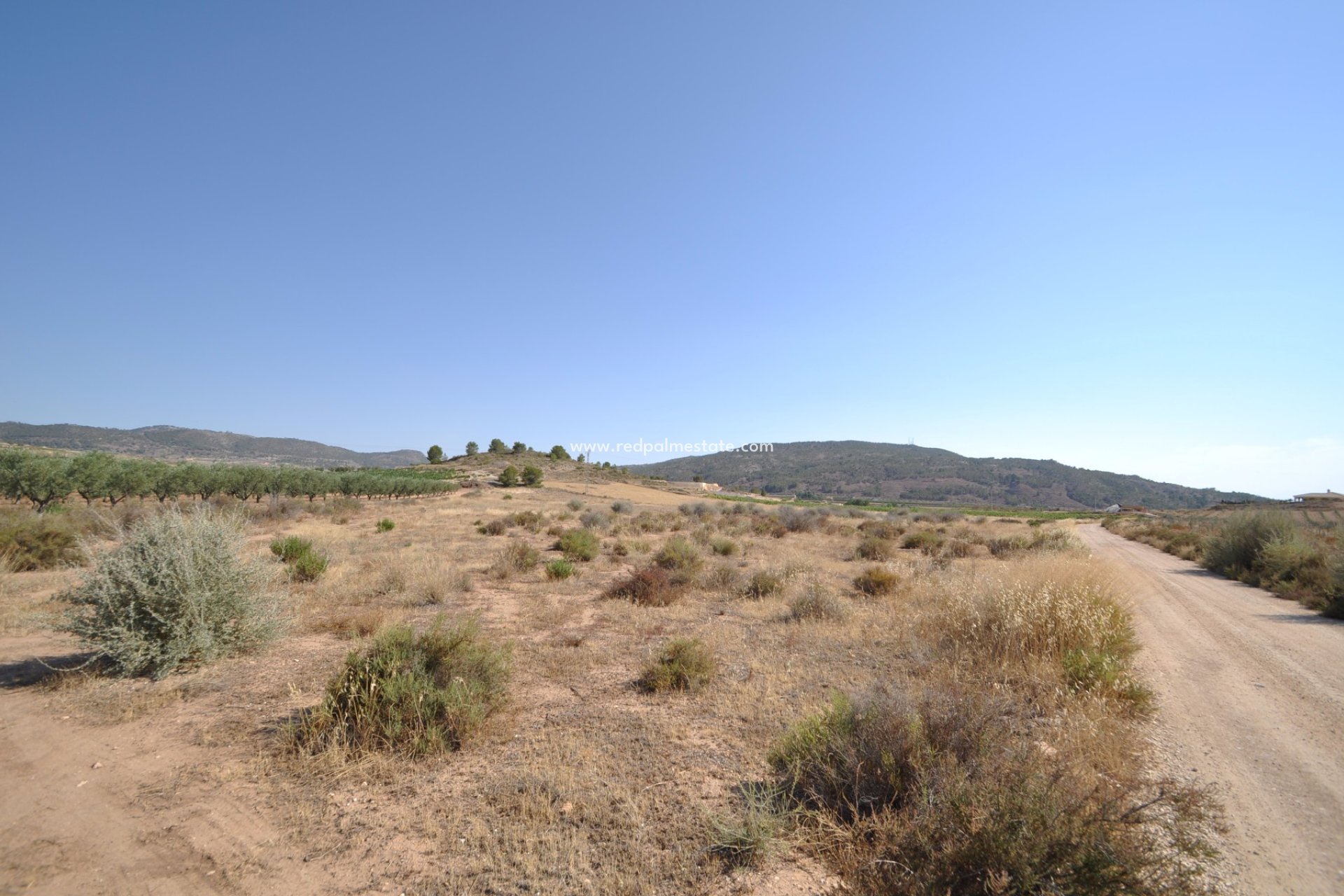 Resale - Plot -
Pinoso - Inland