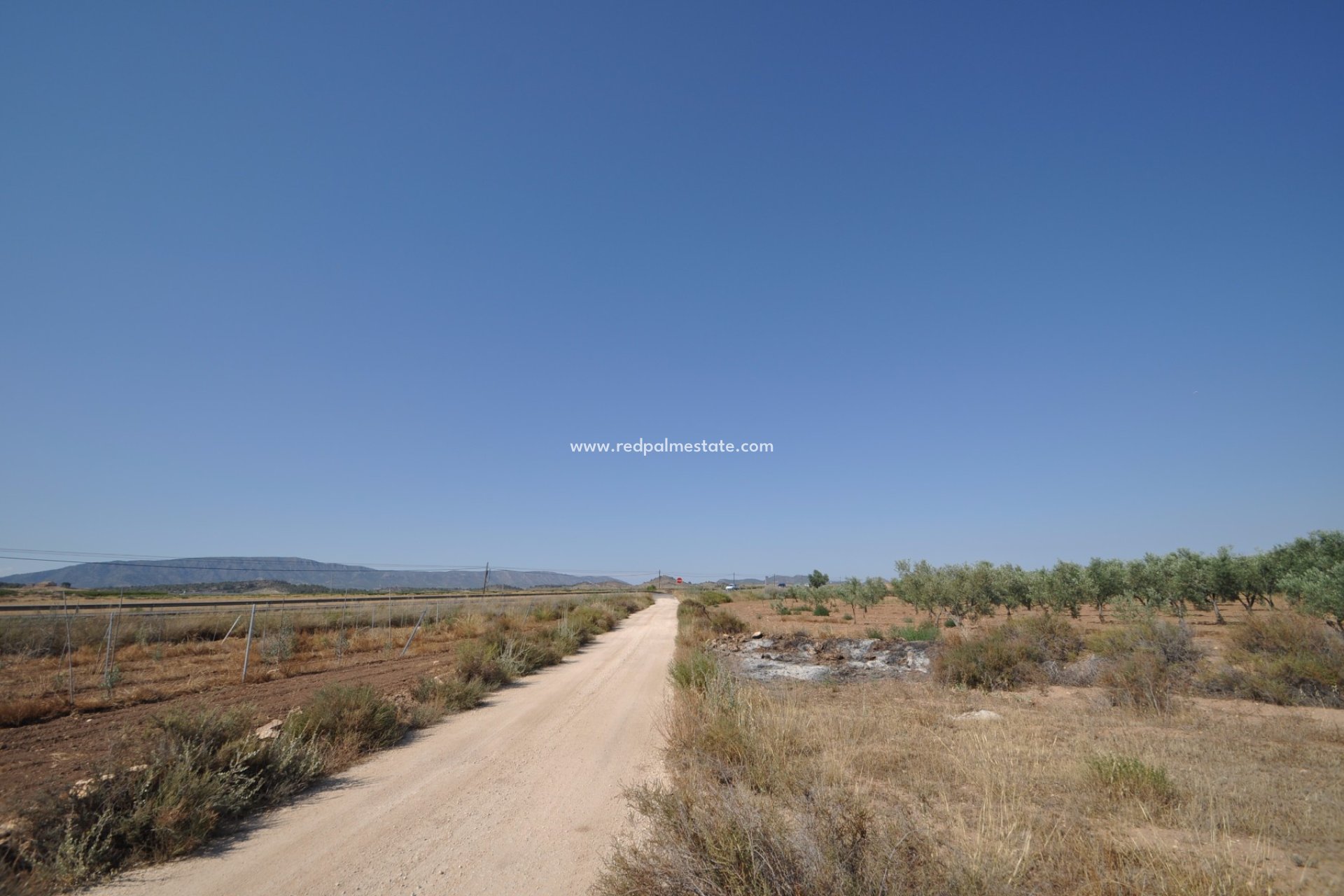 Resale - Plot -
Pinoso - Inland
