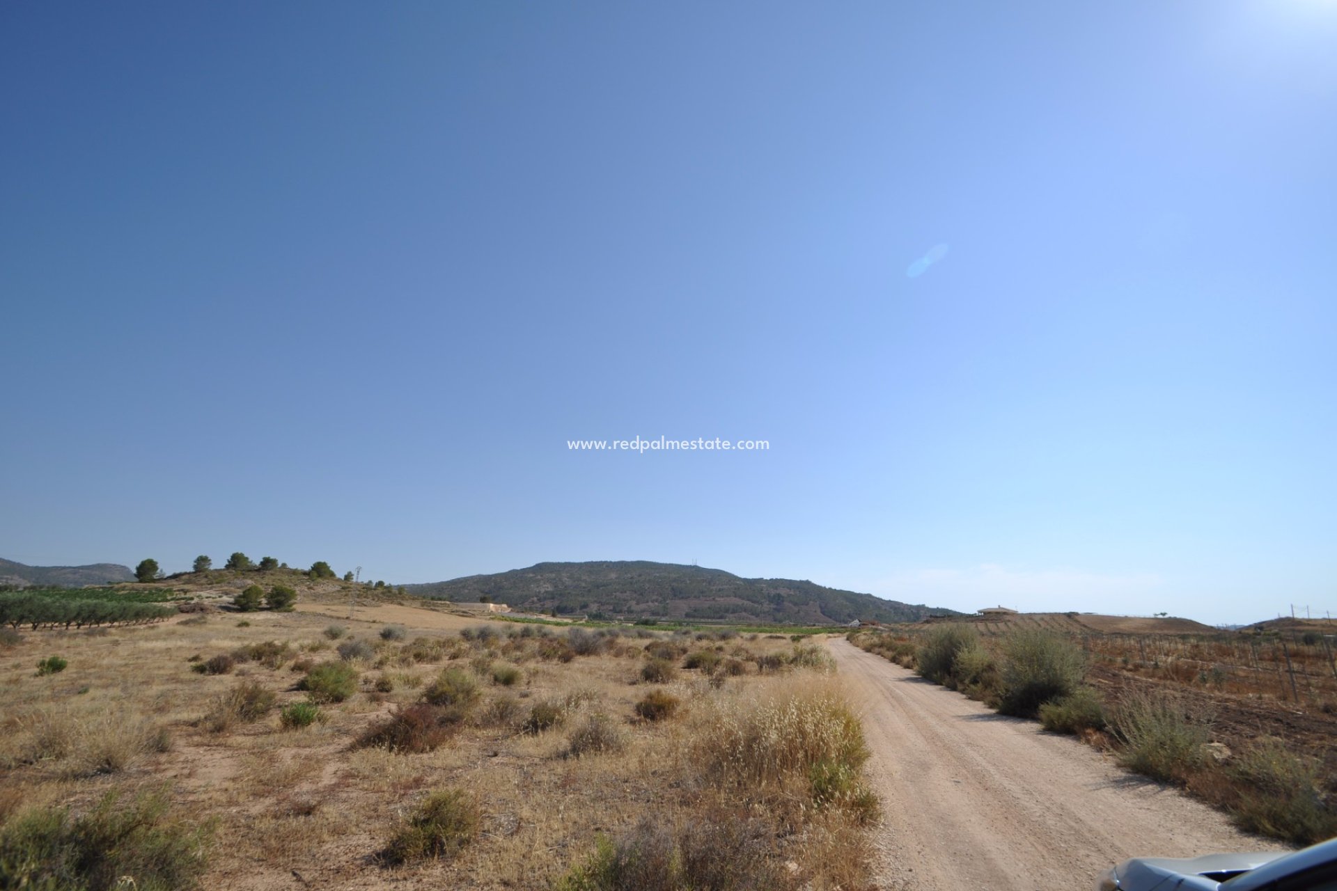 Resale - Plot -
Pinoso - Inland