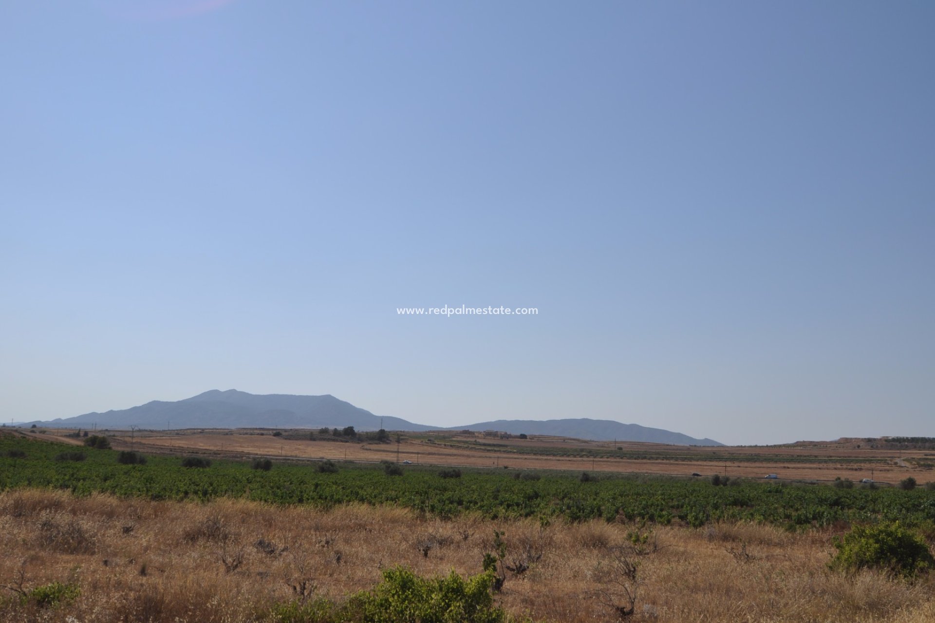 Resale - Plot -
Pinoso - Inland
