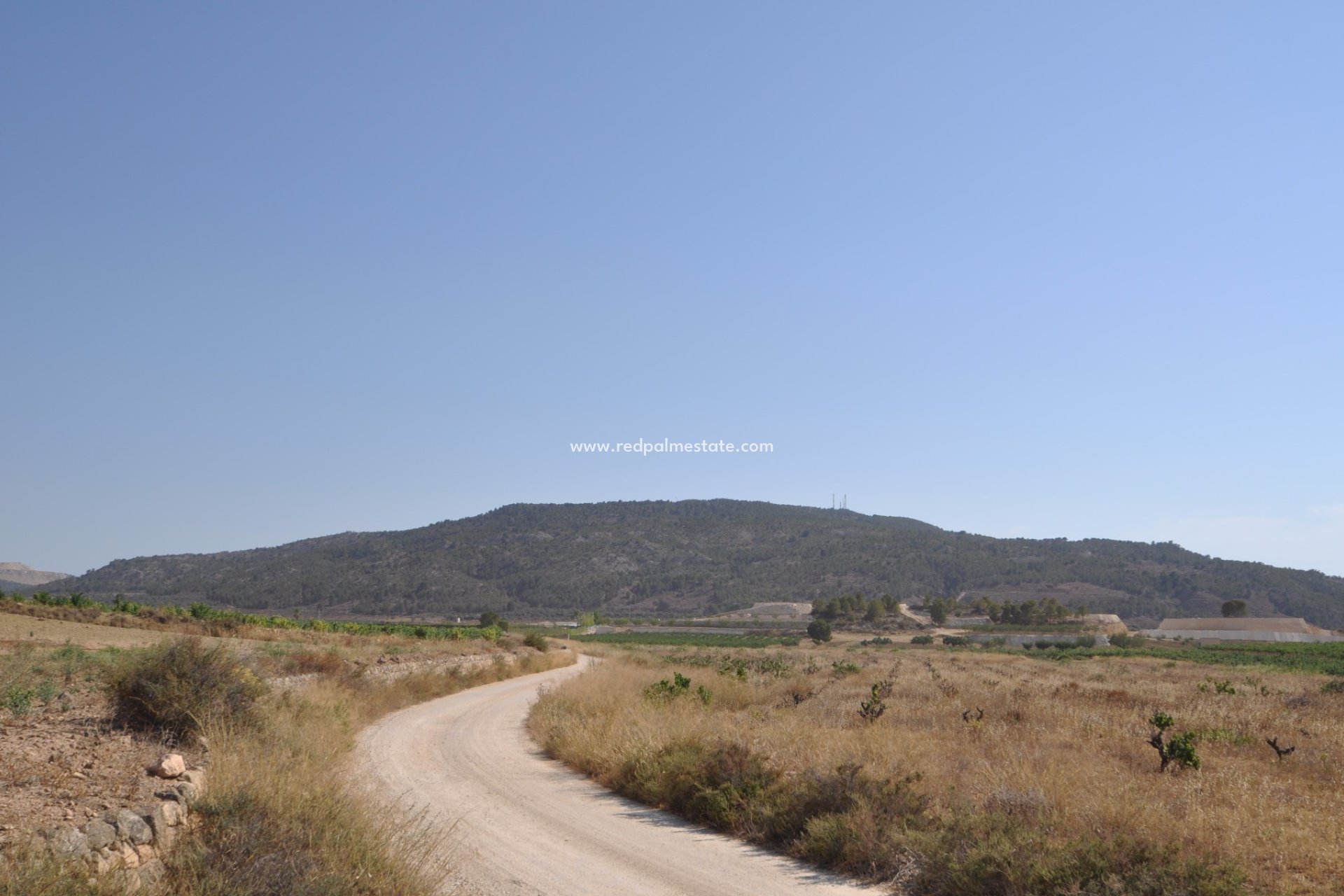 Resale - Plot -
Pinoso - Inland