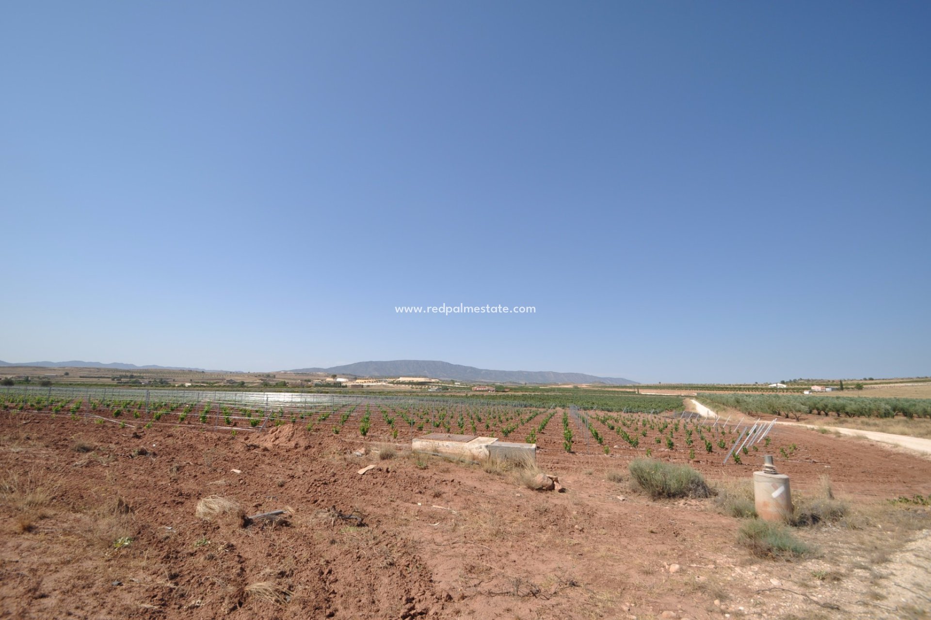 Resale - Plot -
Pinoso - Inland