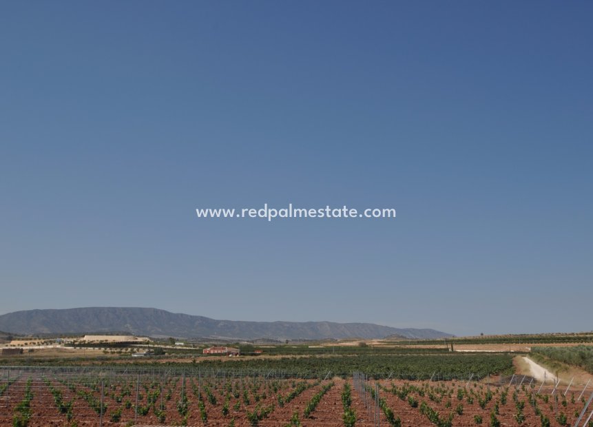 Resale - Plot -
Pinoso - Inland