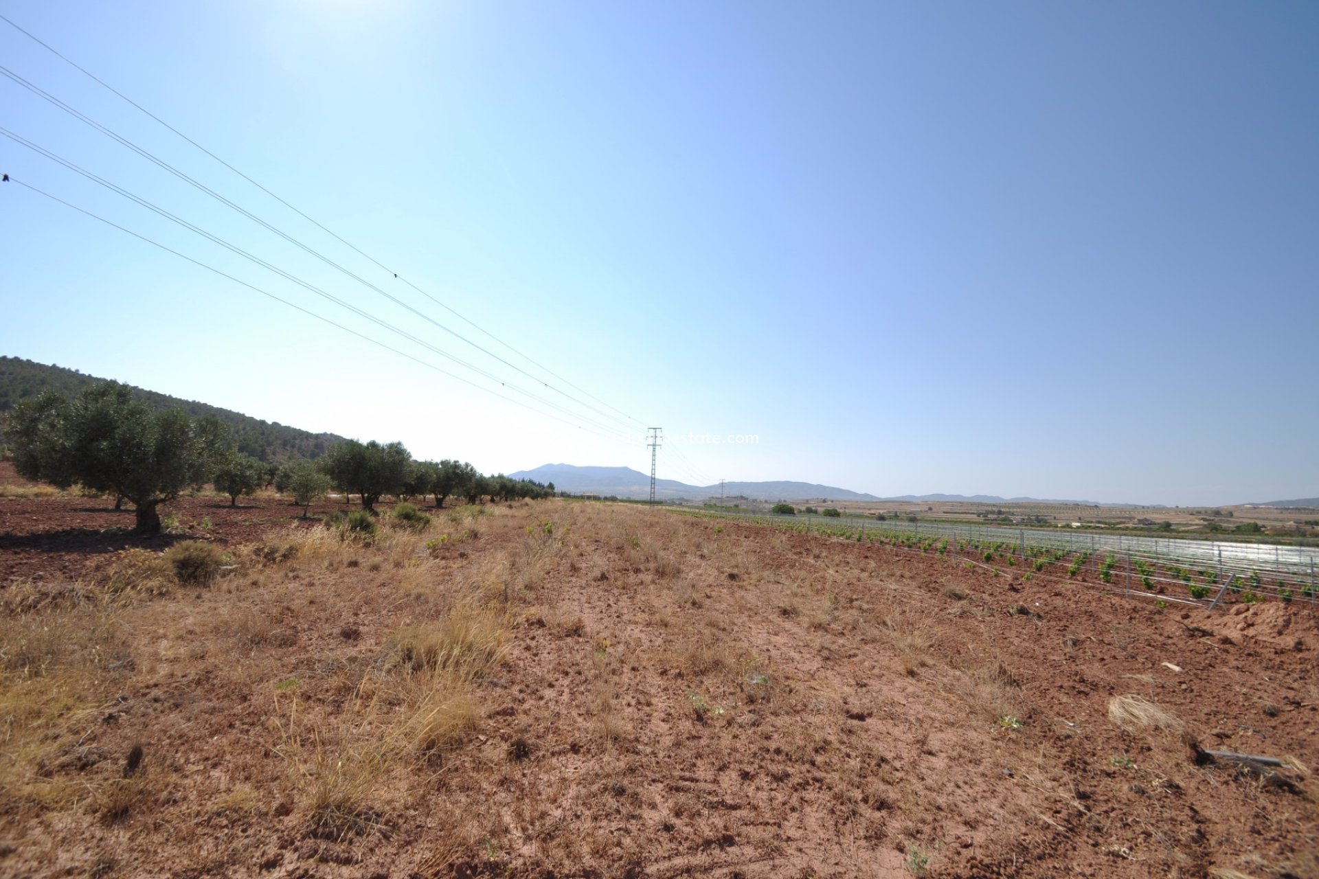 Resale - Plot -
Pinoso - Inland