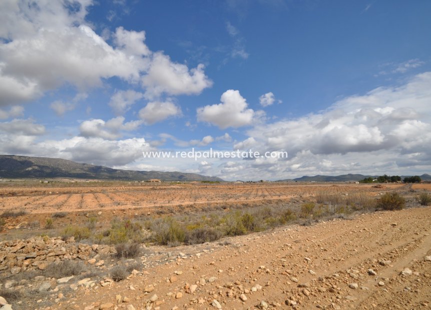 Resale - Plot -
Pinoso - Inland