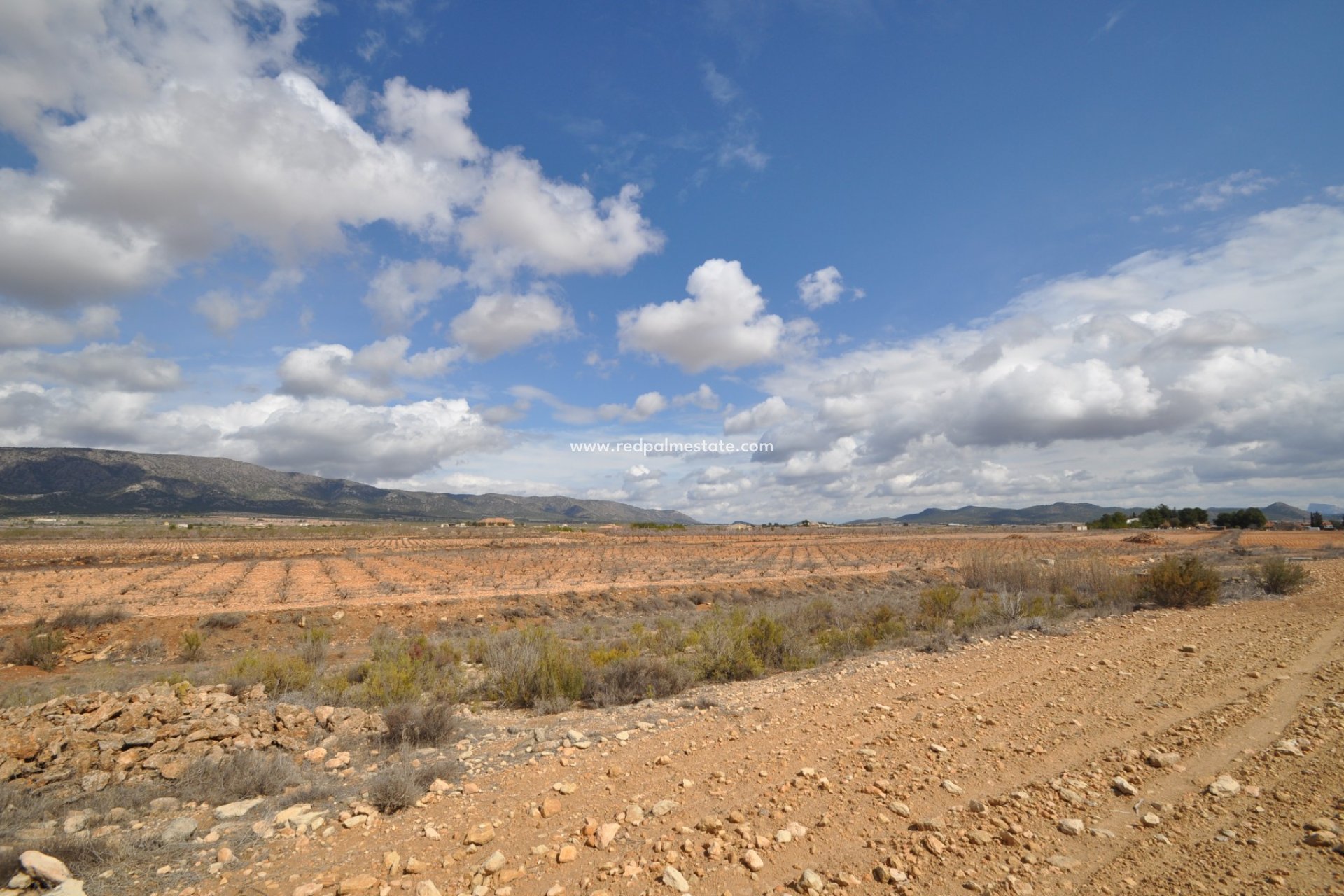 Resale - Plot -
Pinoso - Inland