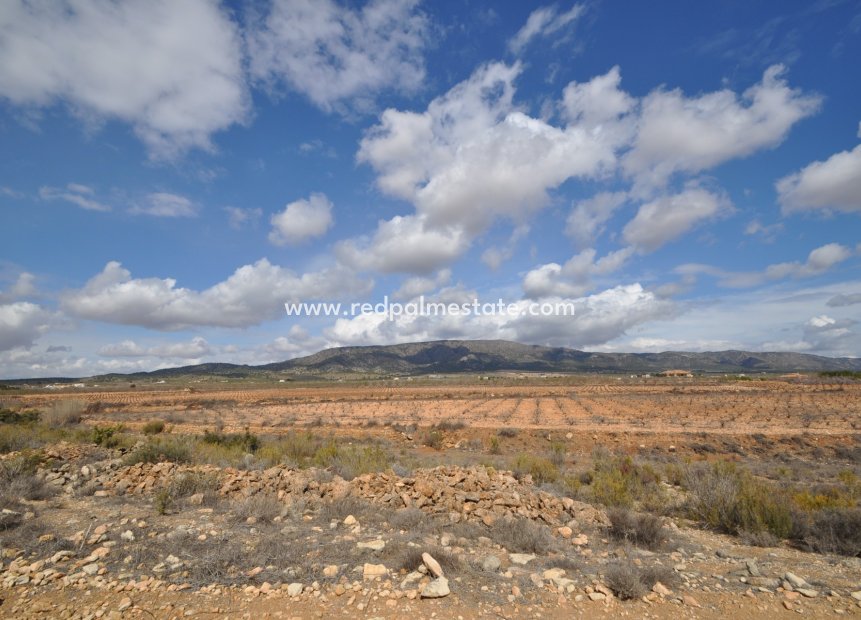 Resale - Plot -
Pinoso - Inland