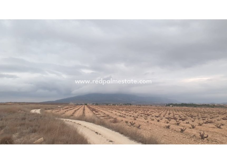 Resale - Plot -
Pinoso - Inland