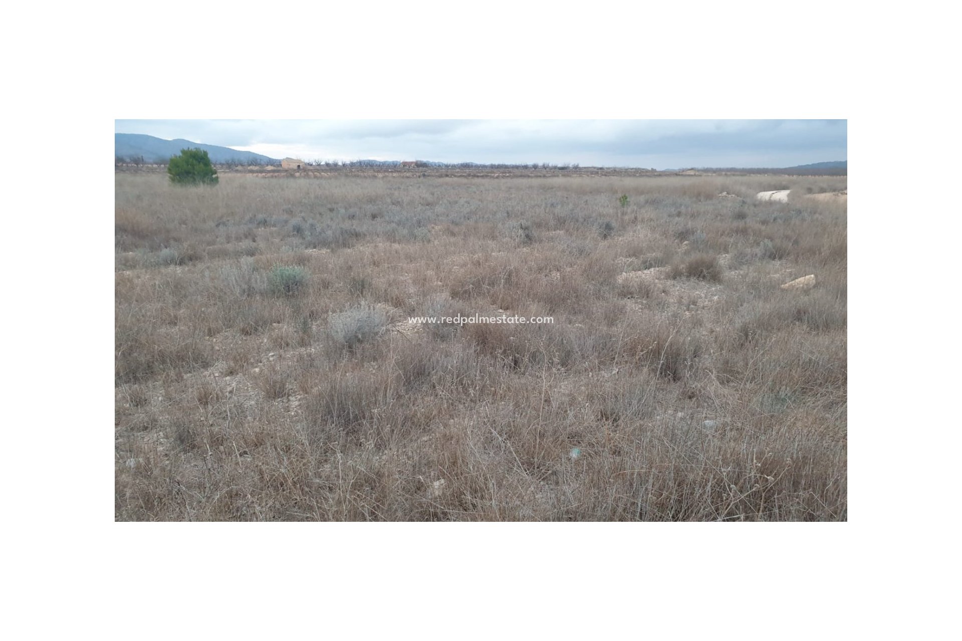 Resale - Plot -
Pinoso - Inland