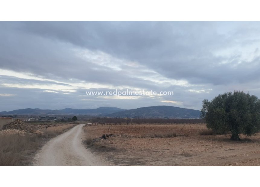 Resale - Plot -
Pinoso - Inland