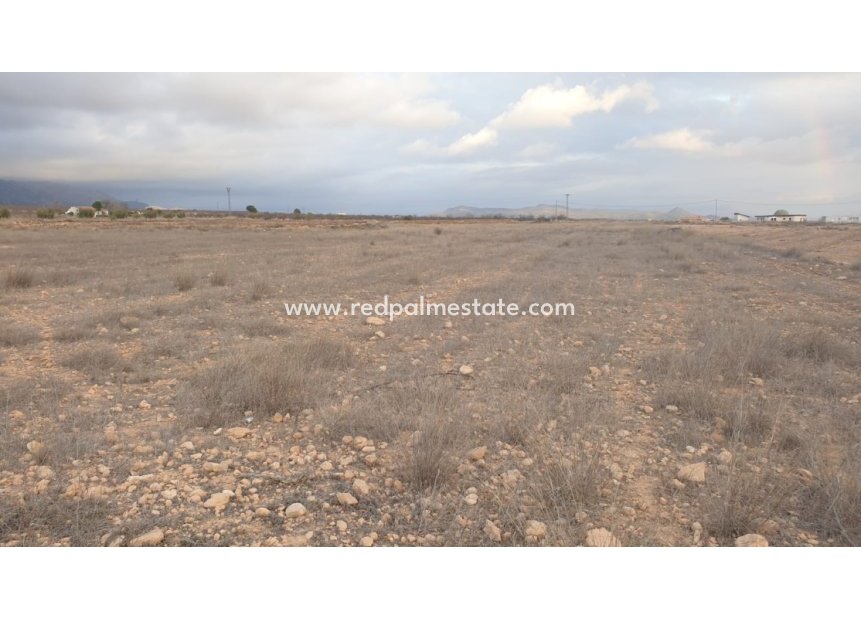 Resale - Plot -
Pinoso - Inland