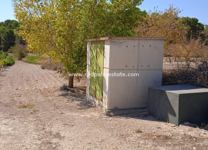 Resale - Plot -
Pinoso - Inland