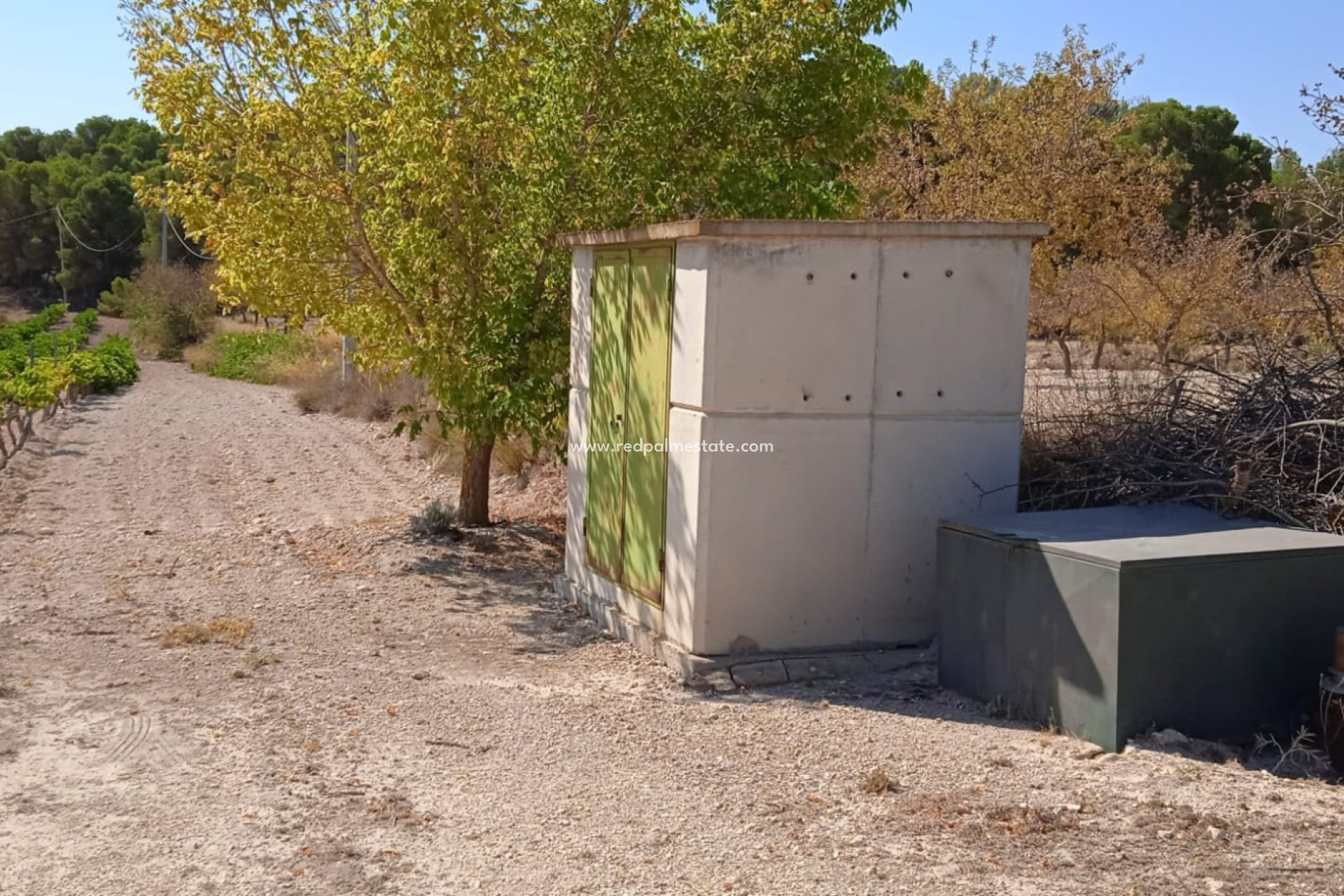 Resale - Plot -
Pinoso - Inland