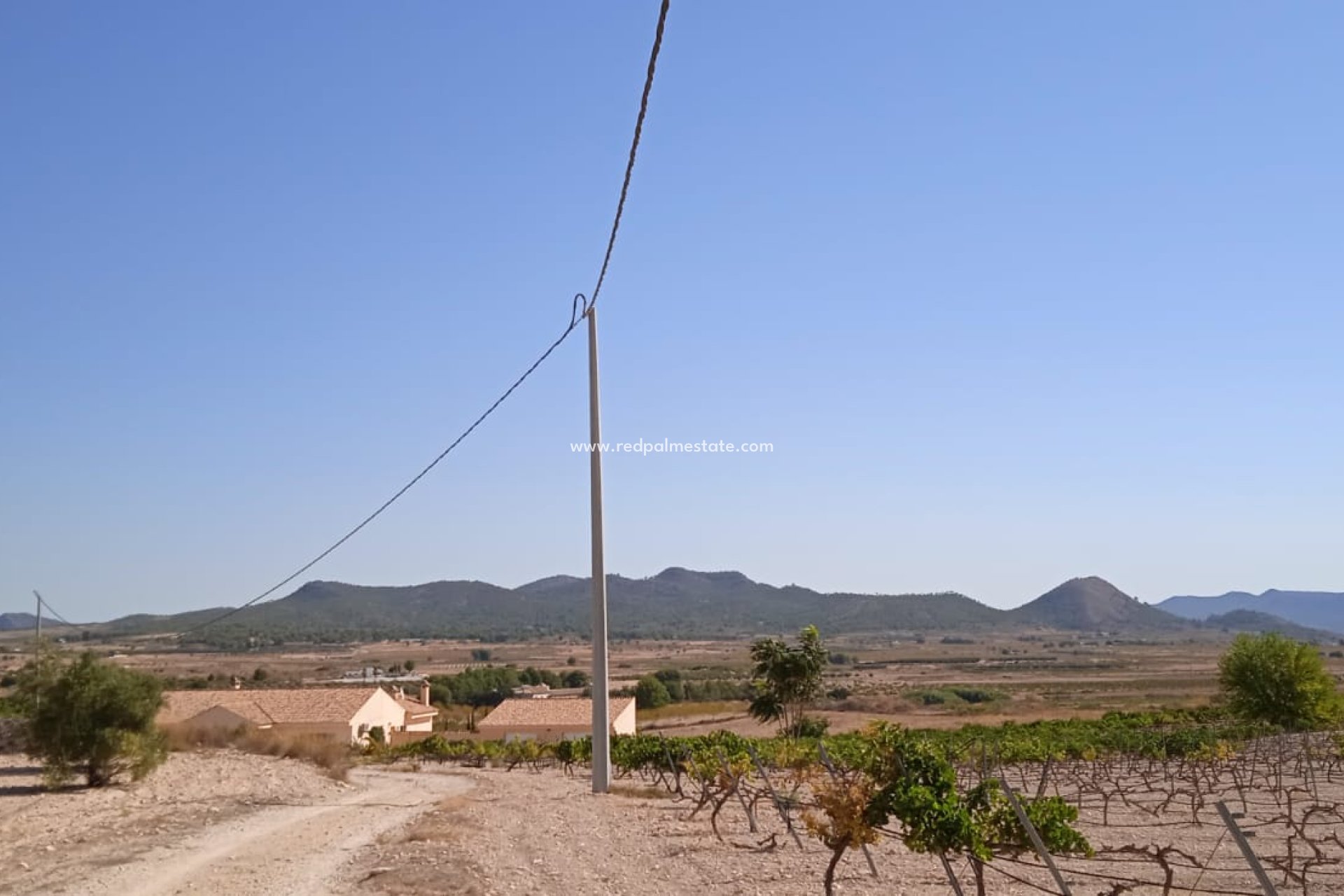 Resale - Plot -
Pinoso - Inland