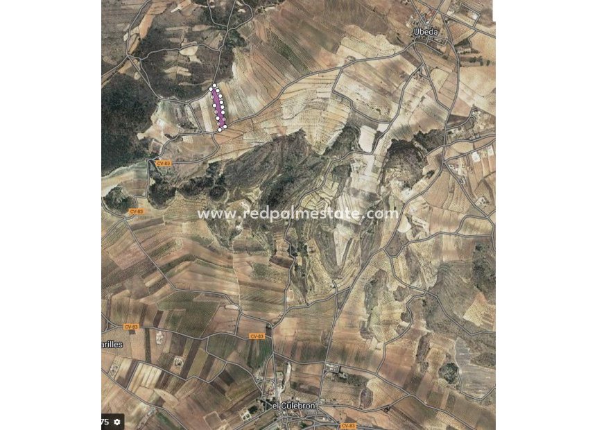 Resale - Plot -
Pinoso - Inland