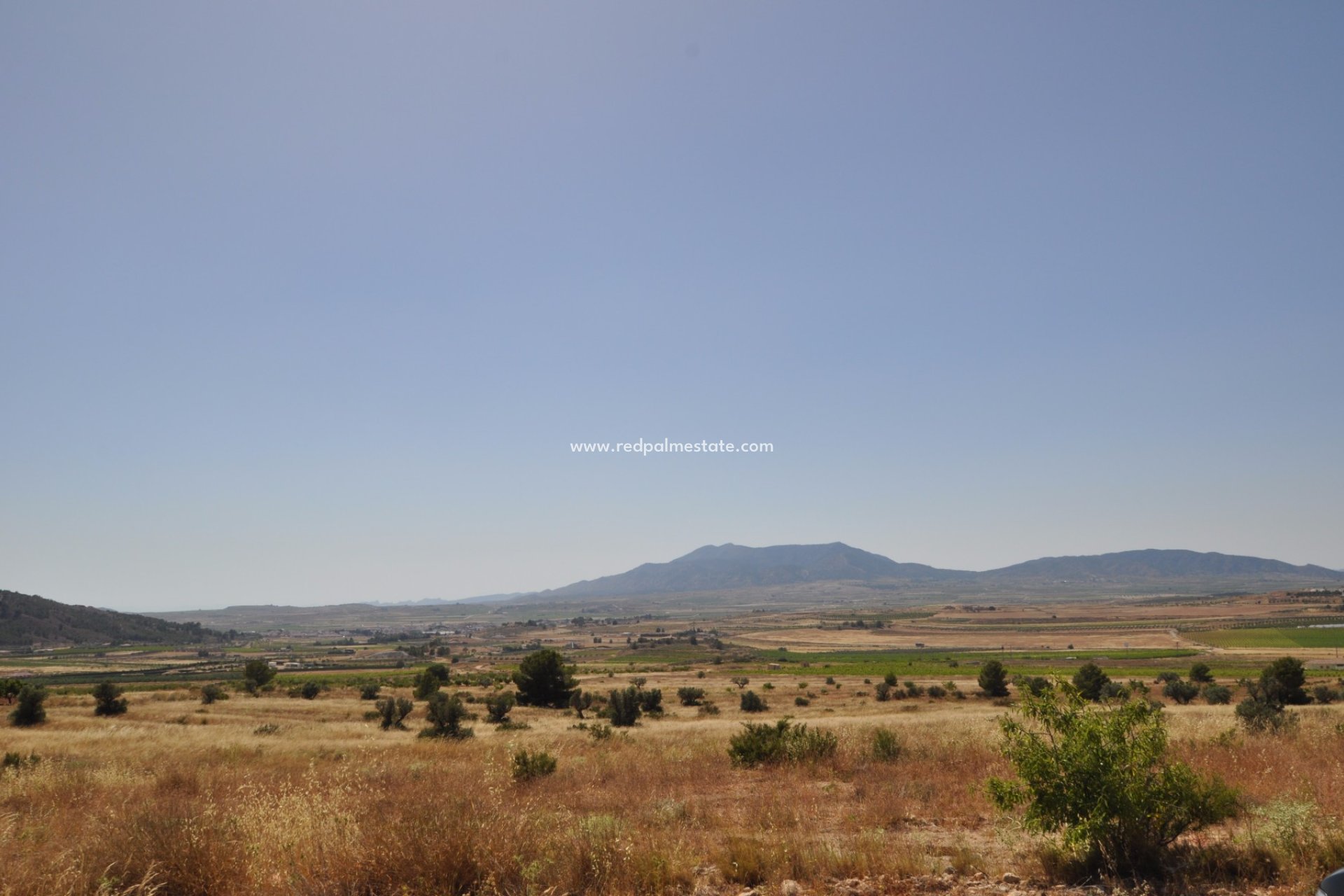 Resale - Plot -
Pinoso - Inland