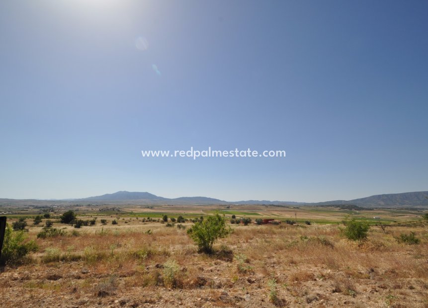 Resale - Plot -
Pinoso - Inland