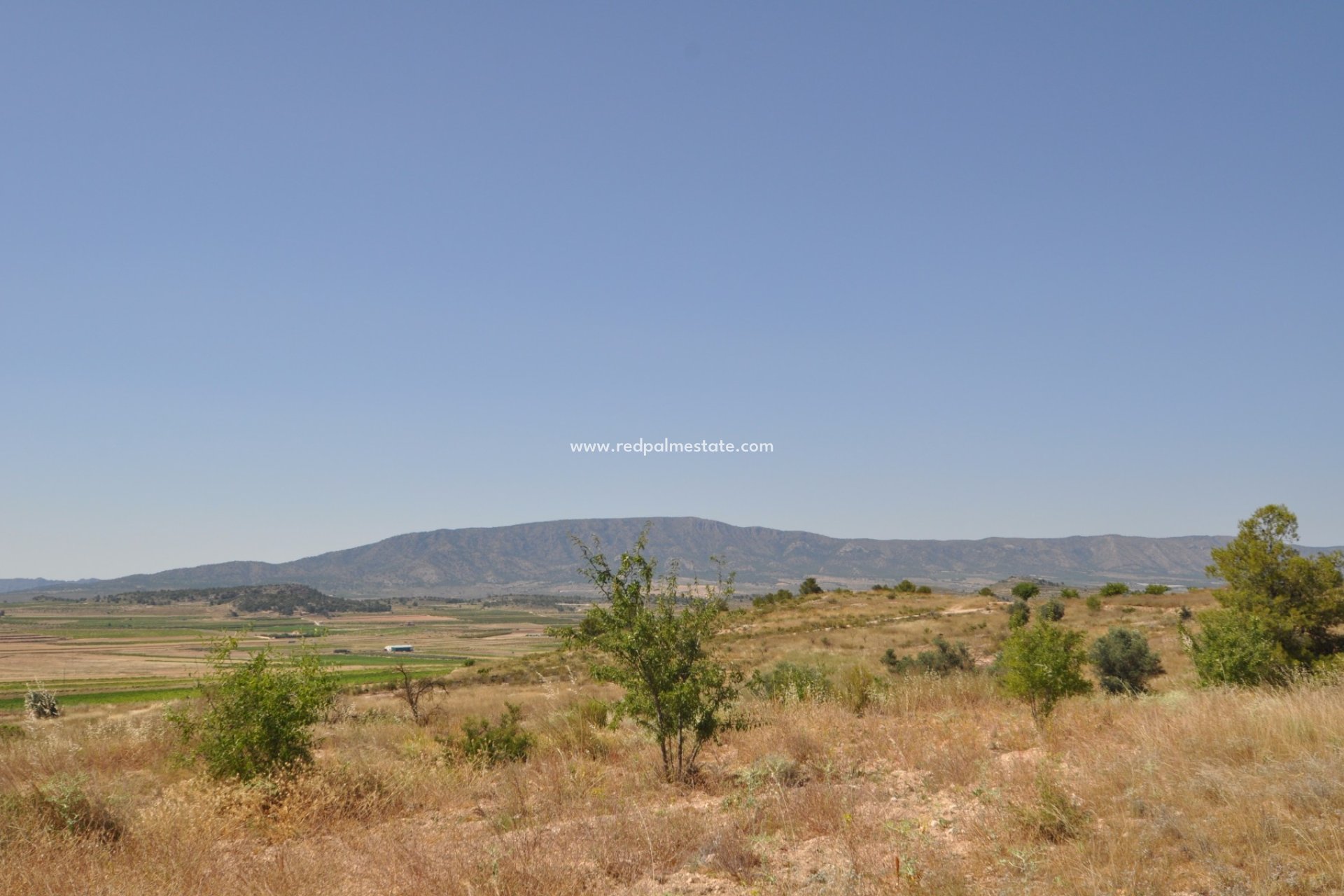 Resale - Plot -
Pinoso - Inland