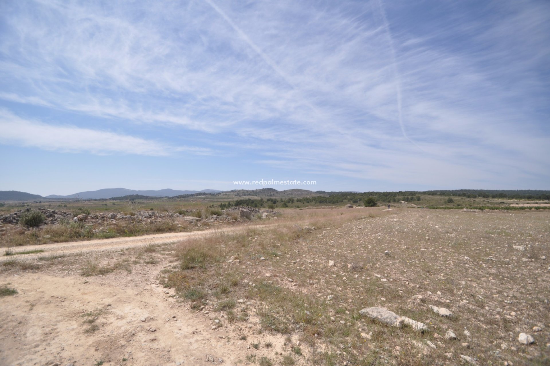 Resale - Plot -
Pinoso - Inland