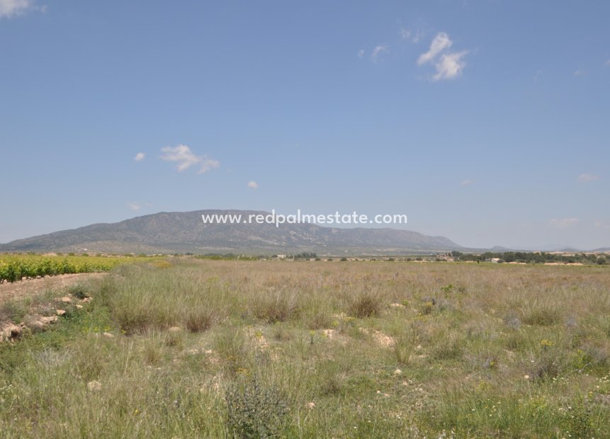 Resale - Plot -
Pinoso - Inland