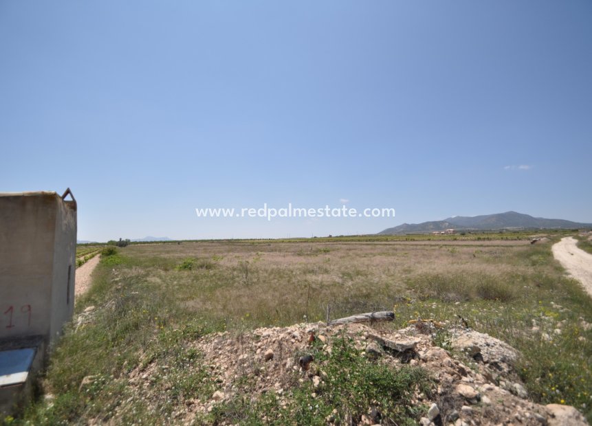 Resale - Plot -
Pinoso - Inland