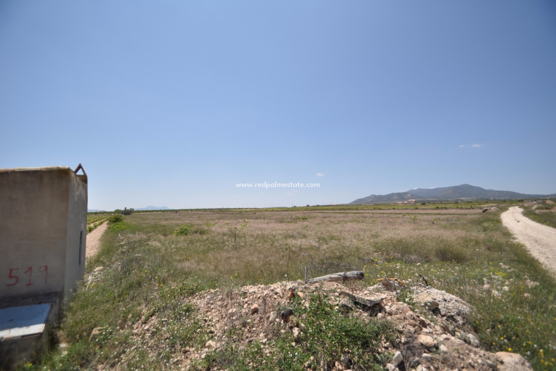 Resale - Plot -
Pinoso - Inland