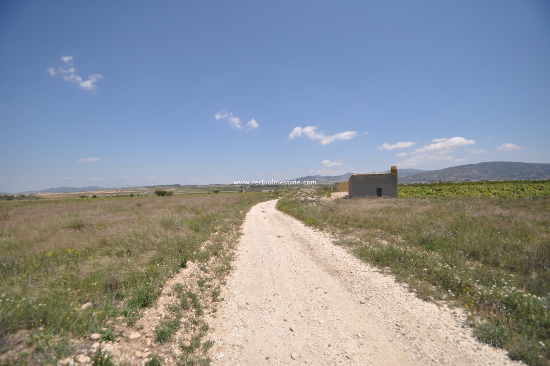 Resale - Plot -
Pinoso - Inland
