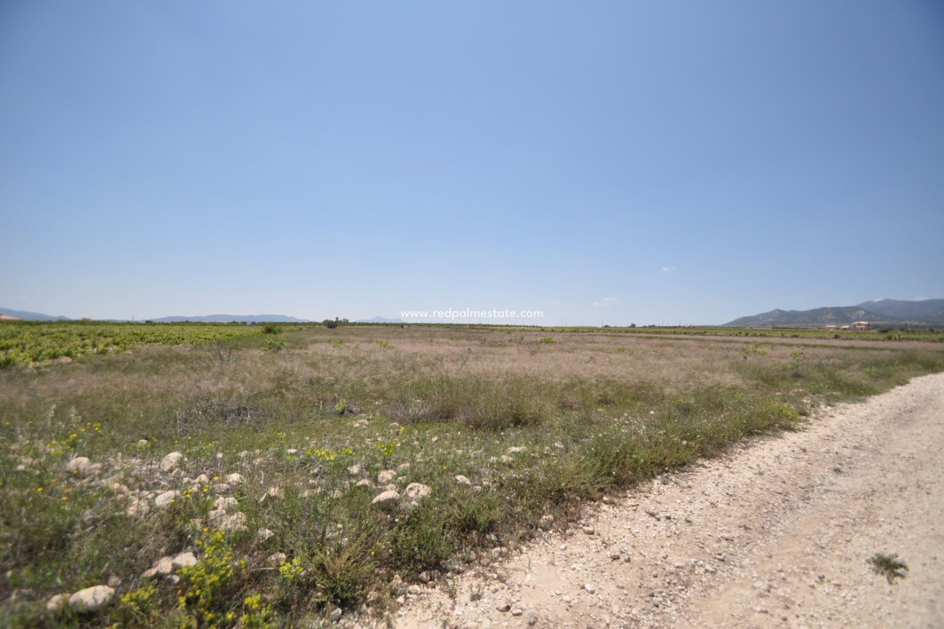 Resale - Plot -
Pinoso - Inland