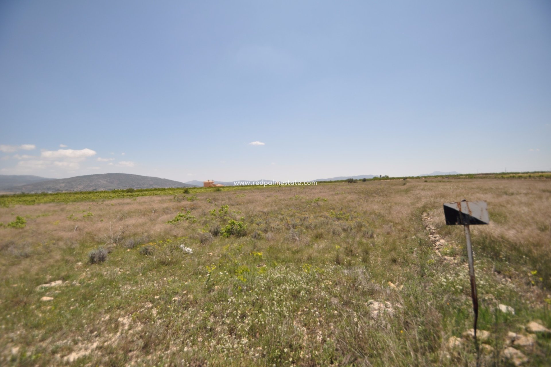 Resale - Plot -
Pinoso - Inland