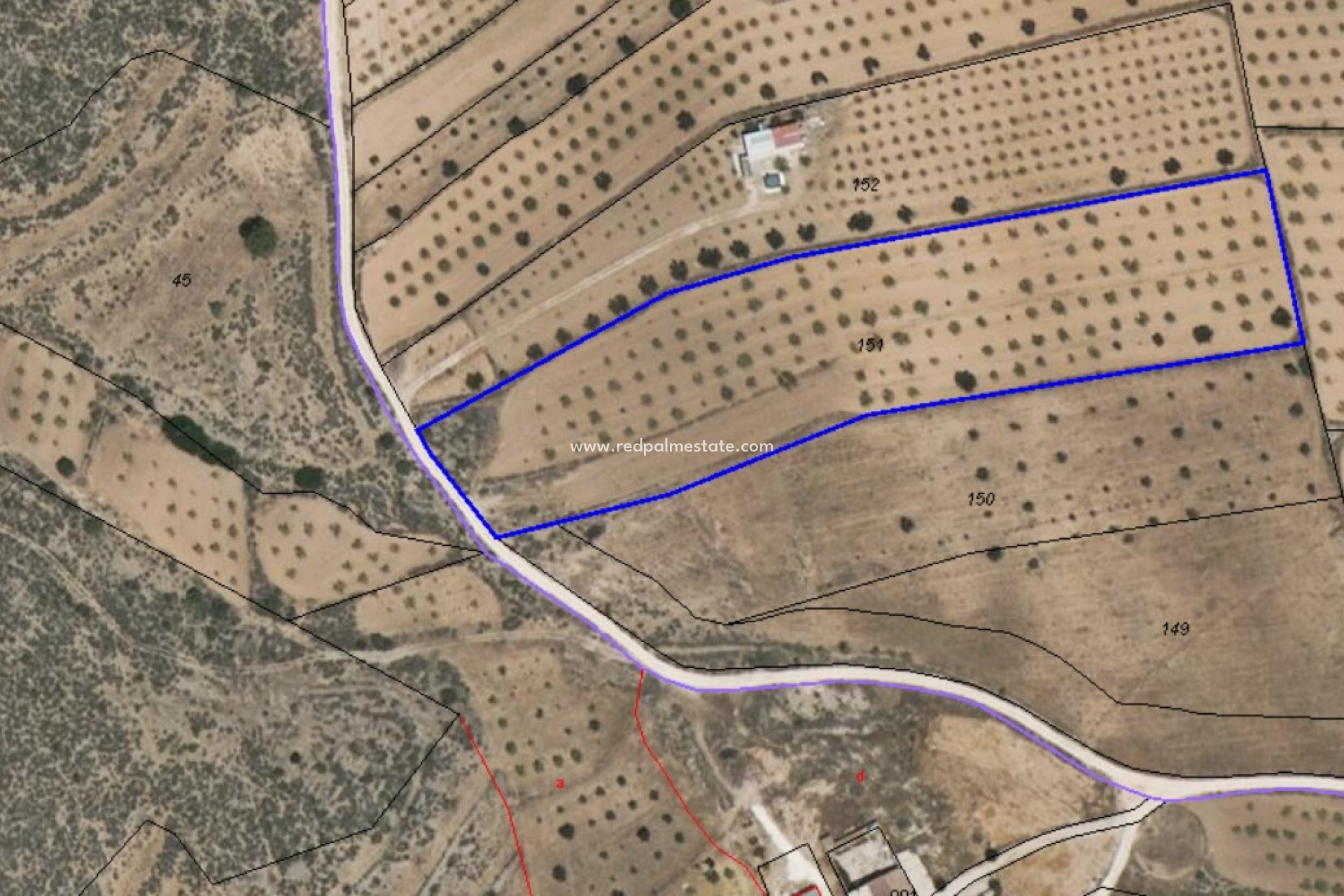 Resale - Plot -
Pinoso - Inland