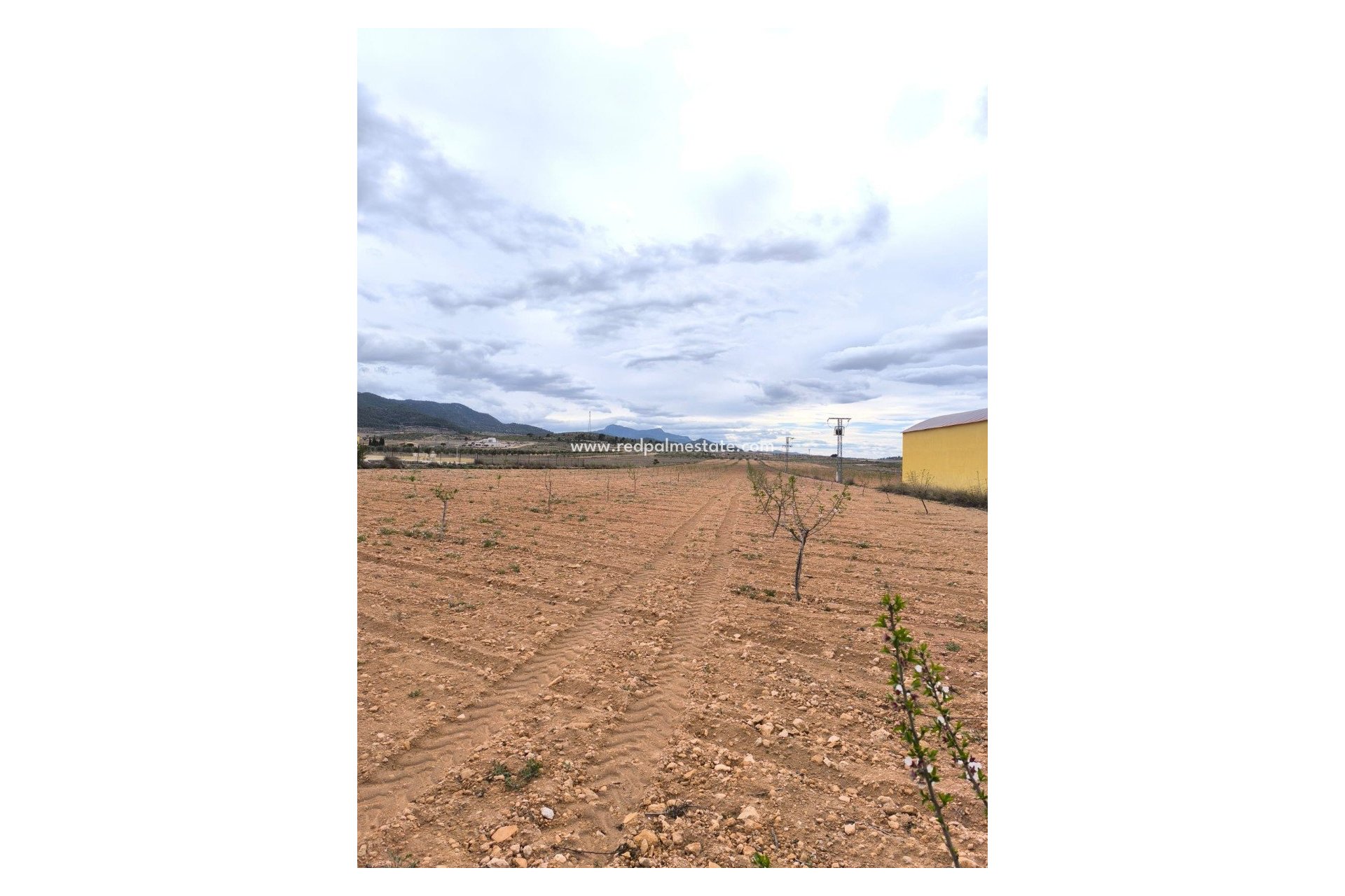 Resale - Plot -
Pinoso - Inland