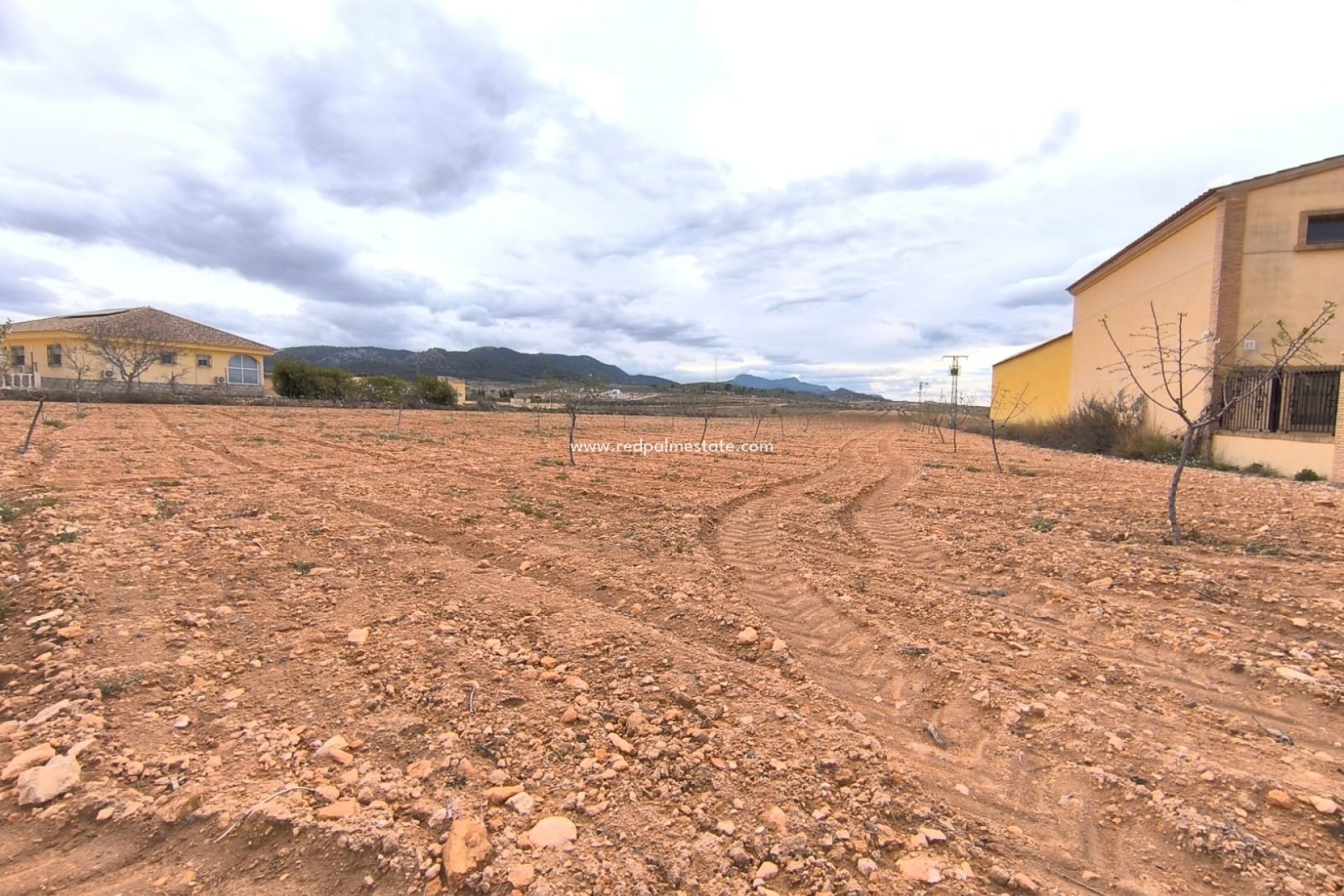 Resale - Plot -
Pinoso - Inland