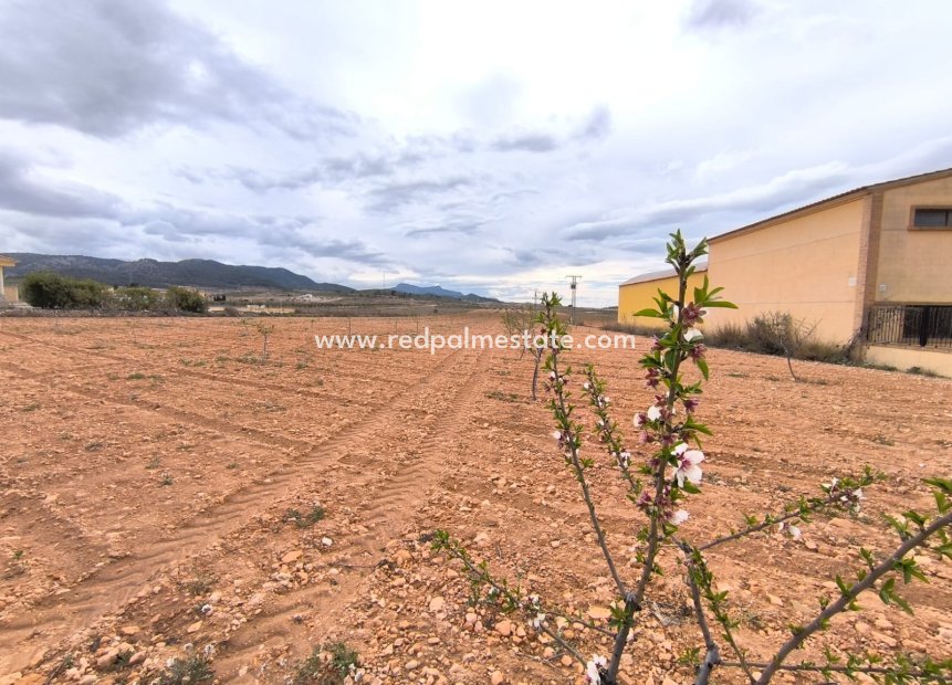 Resale - Plot -
Pinoso - Inland