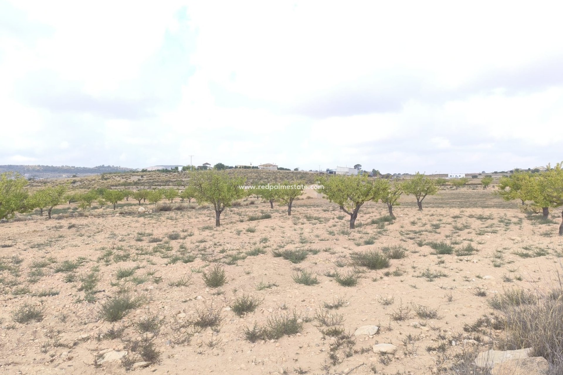 Resale - Plot -
Pinoso - Inland