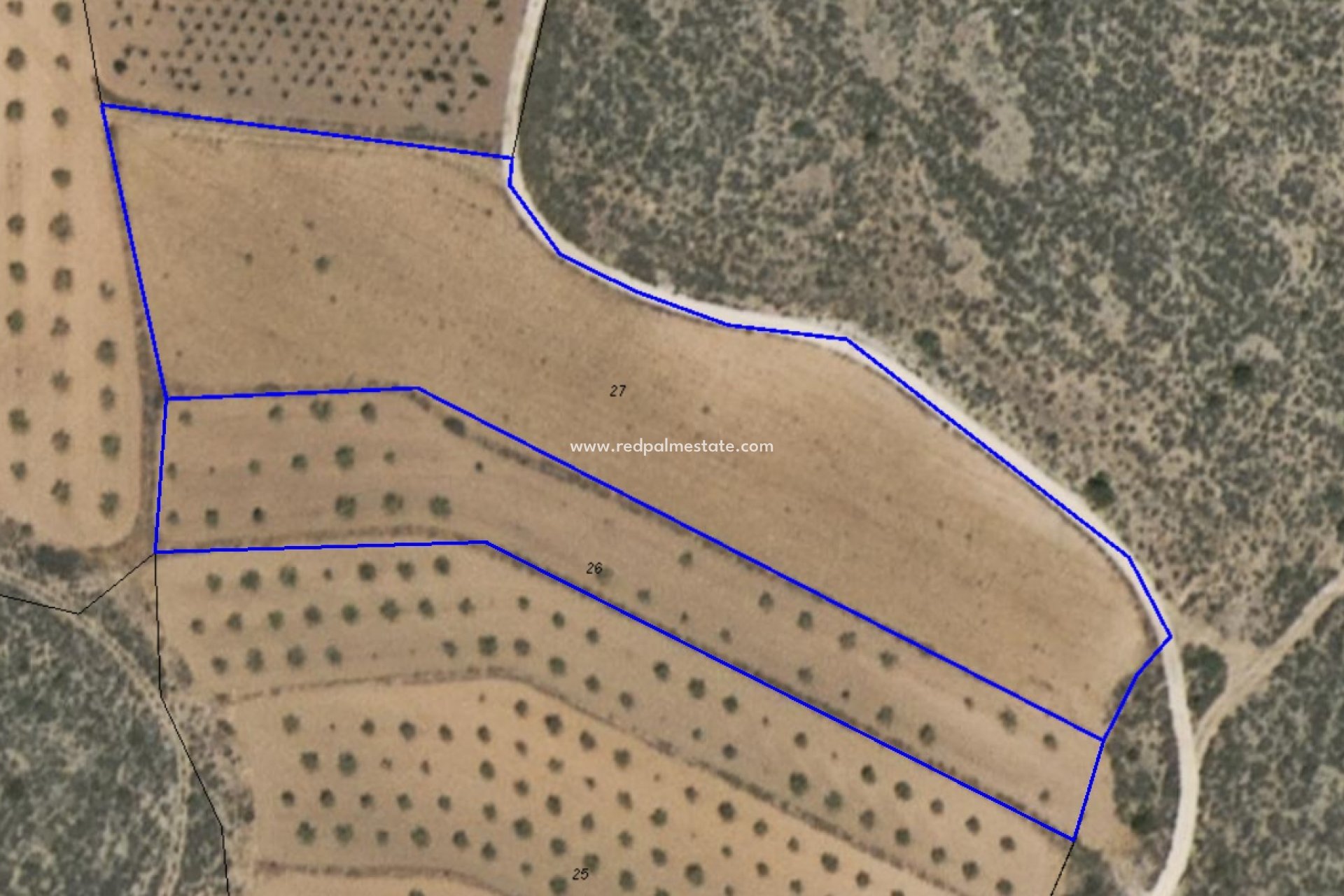 Resale - Plot -
Pinoso - Inland