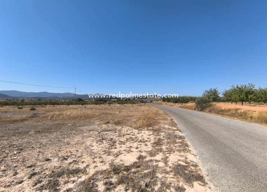 Resale - Plot -
Pinoso - Inland