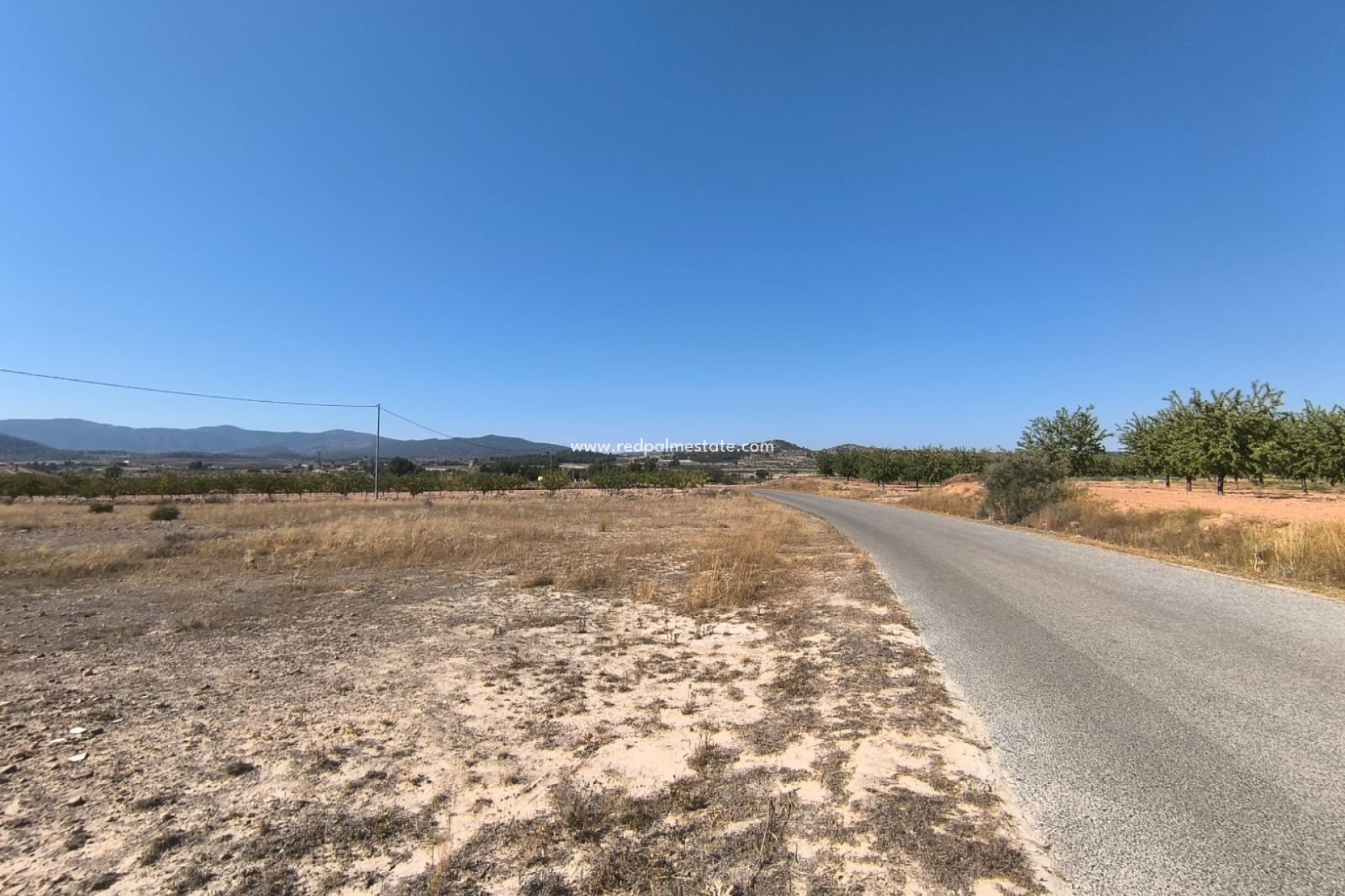 Resale - Plot -
Pinoso - Inland