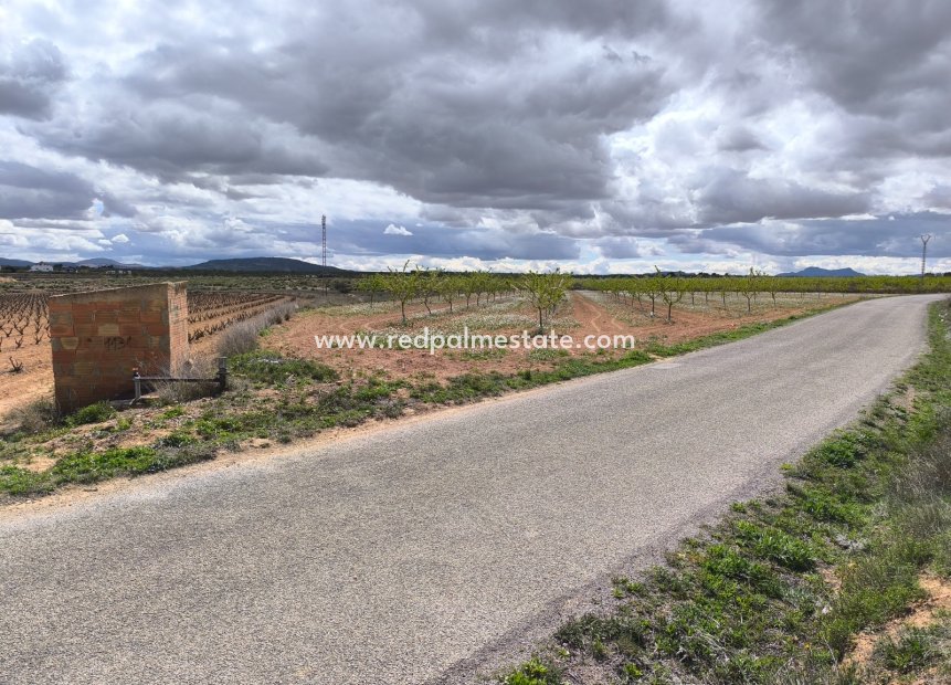Resale - Plot -
Pinoso - Inland