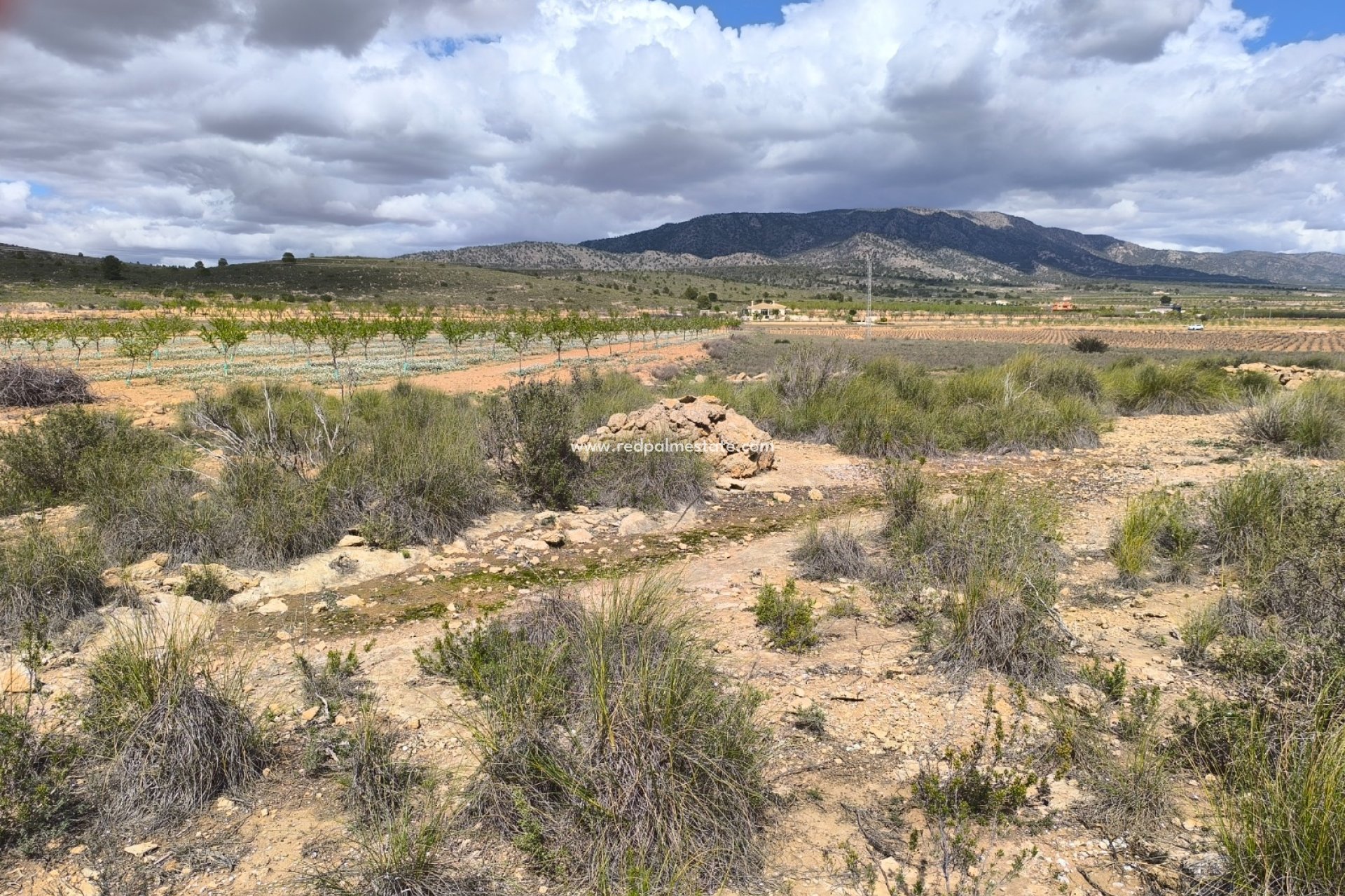 Resale - Plot -
Pinoso - Inland