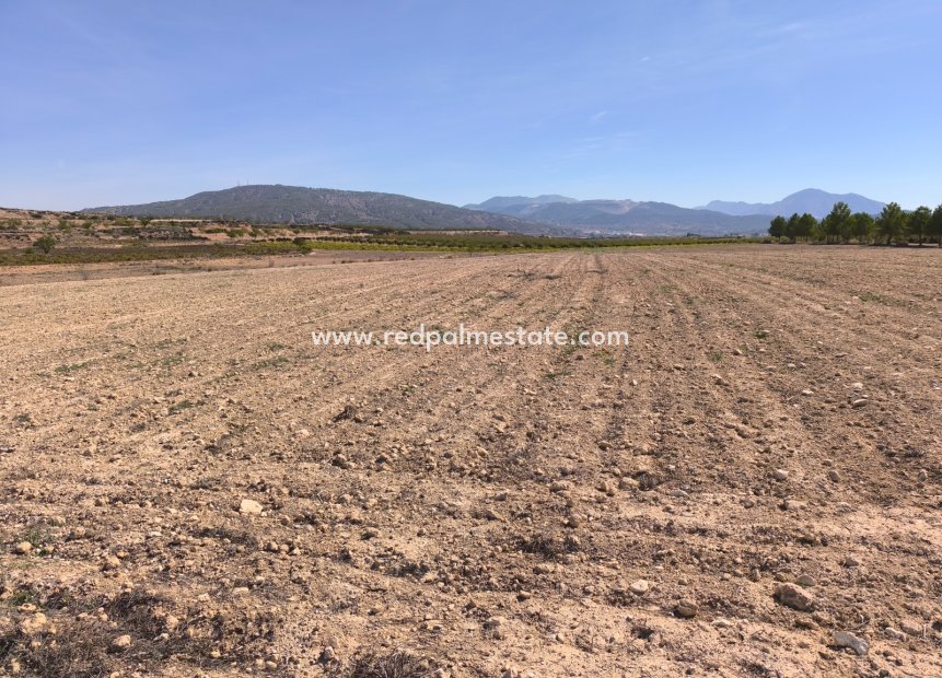 Resale - Plot -
Pinoso - Inland