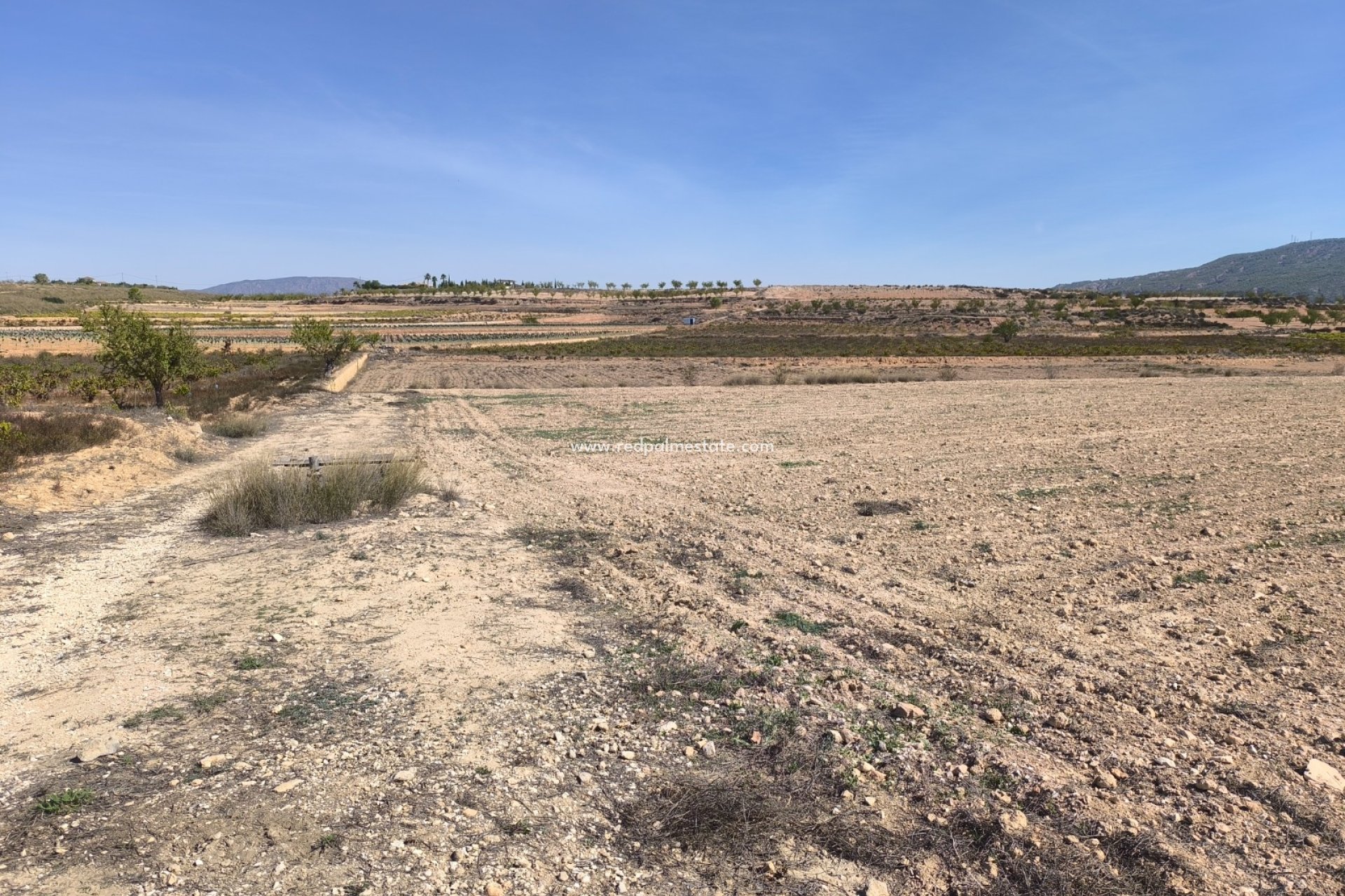 Resale - Plot -
Pinoso - Inland