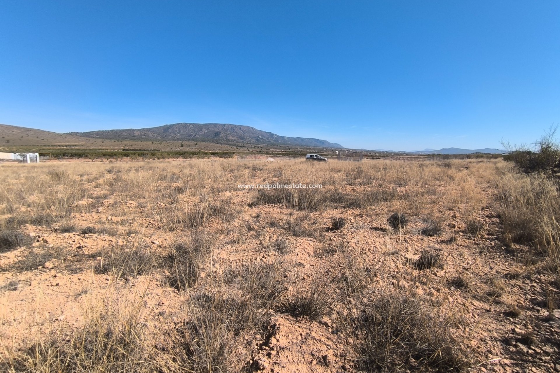 Resale - Plot -
Pinoso - Inland