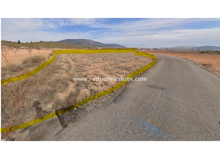 Resale - Plot -
Pinoso - Inland